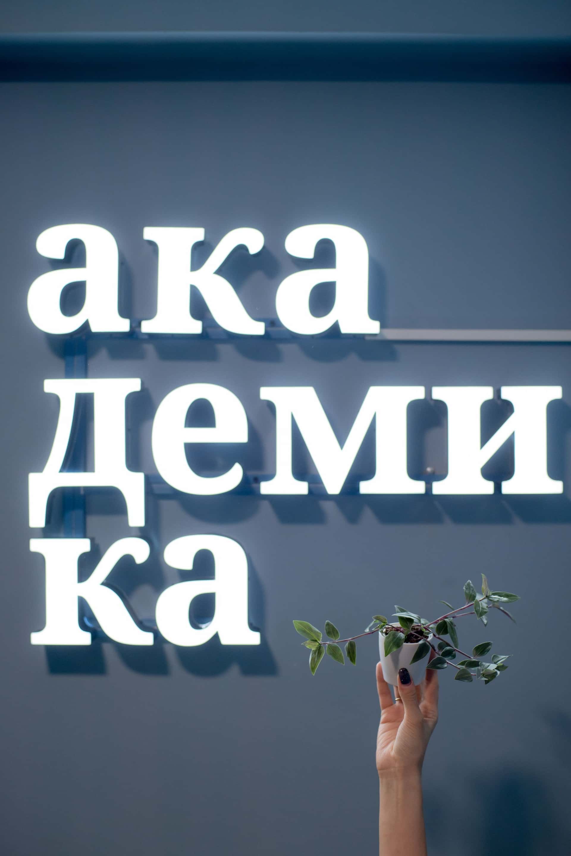 Рука держит небольшое растение на фоне синей стены со светящимися кириллическими буквами